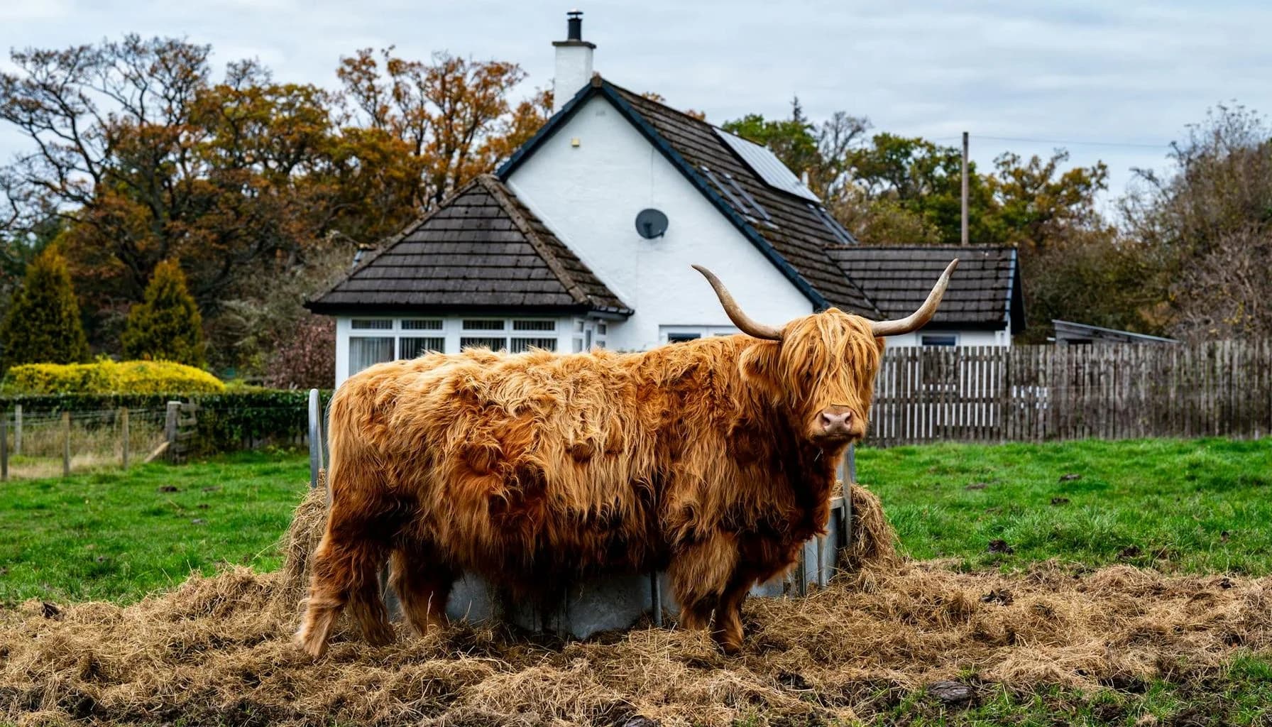 UK residential mortgage article image for Scottish Homes Face Mortgage Market Challenges Over Insulation