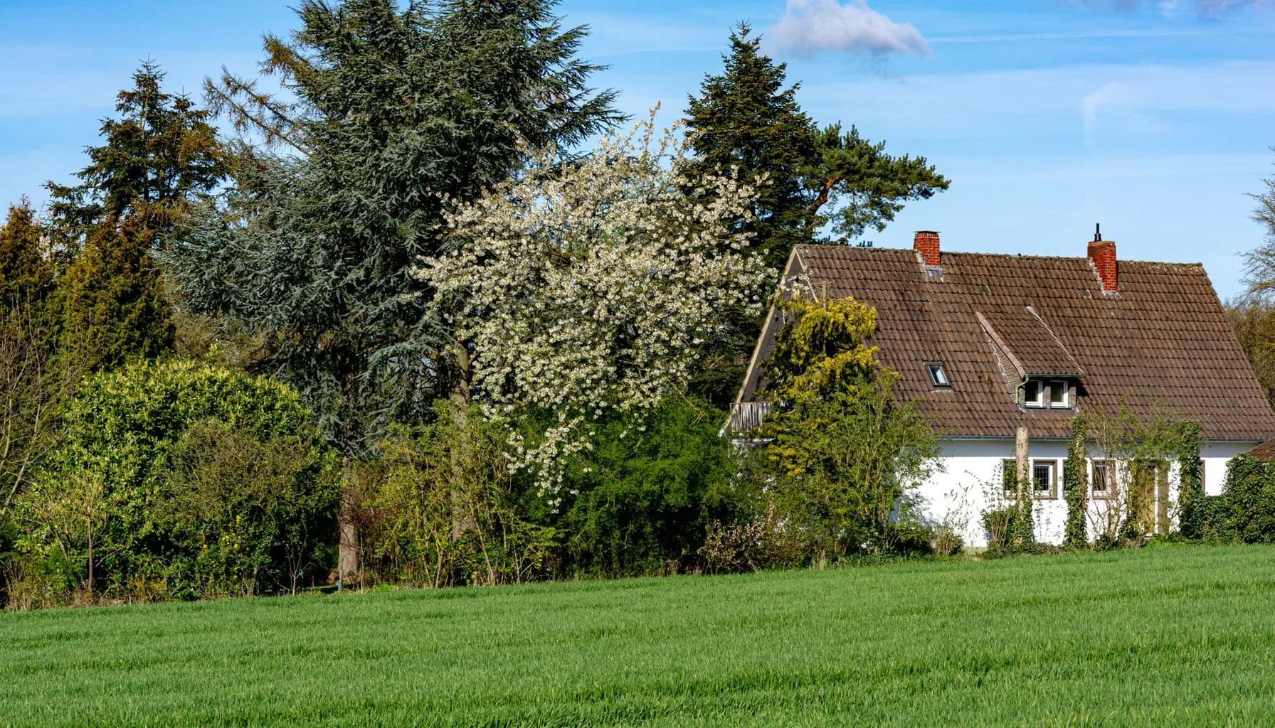UK buy to let mortgage article image for Landlords Choosing Not to Raise Rents Key Insights