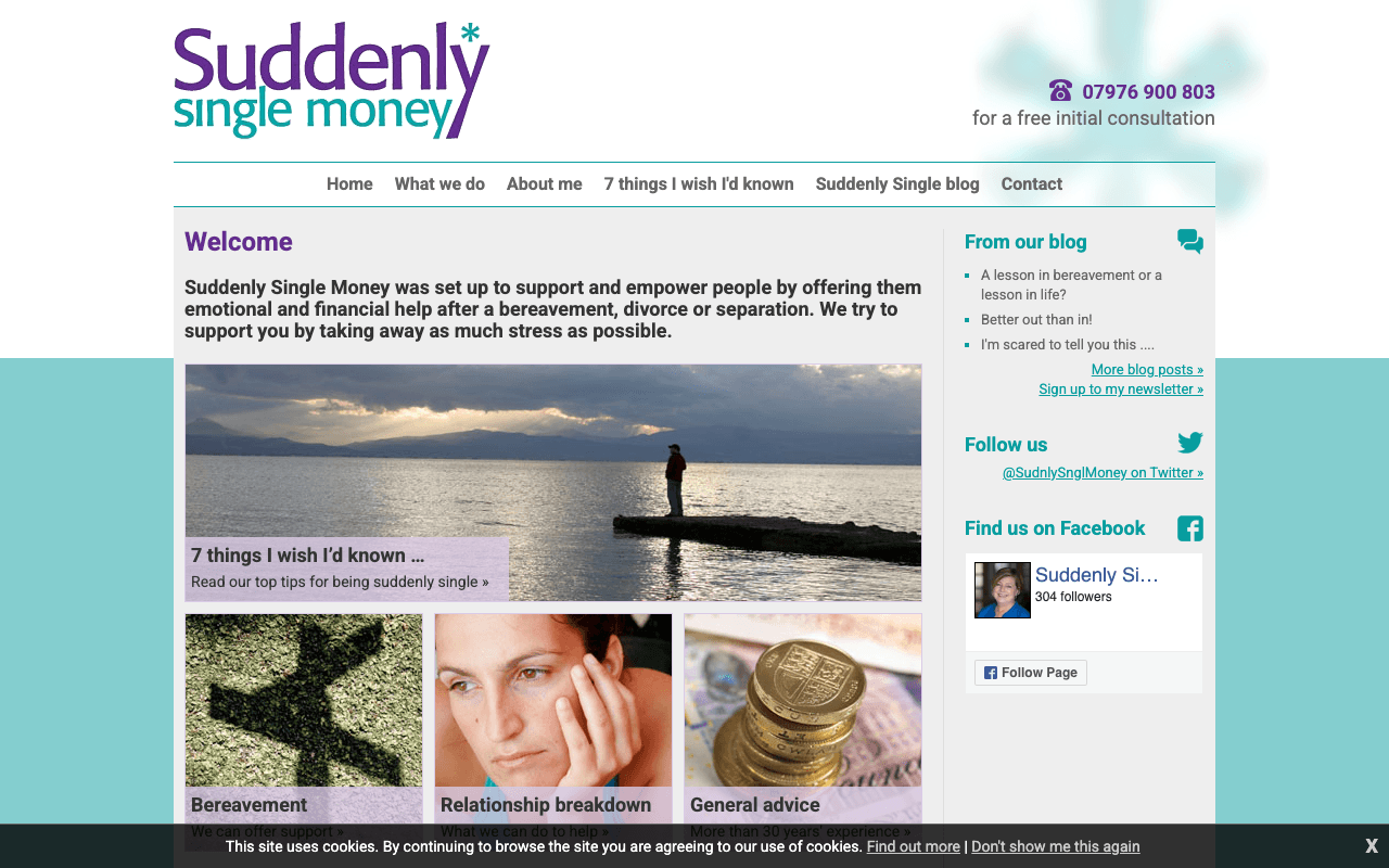 Suddenly Single Money website preview
